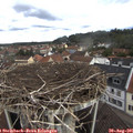 09_50-nest.jpg