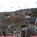 09_55-nest.jpg