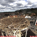 10_00-nest.jpg