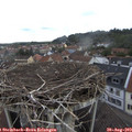 10_05-nest.jpg