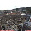 10_10-nest.jpg