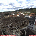 10_15-nest.jpg
