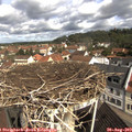 10_25-nest.jpg