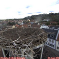 10_30-nest.jpg