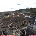 10_35-nest.jpg