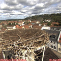 10_40-nest.jpg