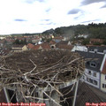 10_45-nest.jpg