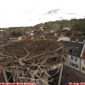 10_50-nest.jpg