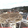 10_55-nest.jpg