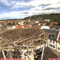11_05-nest.jpg