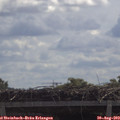 11_20-mast.jpg