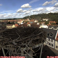 11_25-nest.jpg