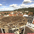 11_35-nest.jpg