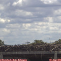 11_50-mast.jpg