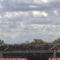 11_55-mast.jpg