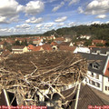 11_55-nest.jpg