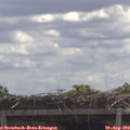 12_00-mast.jpg