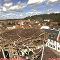 12_00-nest.jpg