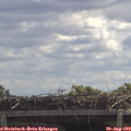 12_05-mast.jpg