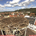 12_05-nest.jpg