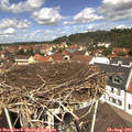 12_10-nest.jpg