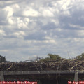 12_15-mast.jpg
