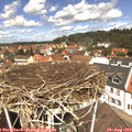 12_15-nest.jpg