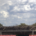 12_20-mast.jpg