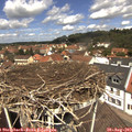12_20-nest.jpg