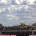 12_25-mast.jpg