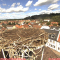 12_25-nest.jpg