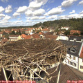 12_30-nest.jpg