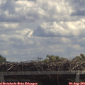 12_35-mast.jpg