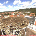 12_35-nest.jpg