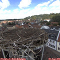 12_40-nest.jpg