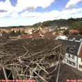 12_45-nest.jpg
