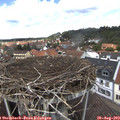 12_55-nest.jpg