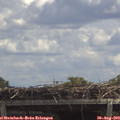 13_00-mast.jpg