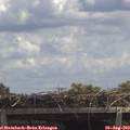 13_05-mast.jpg