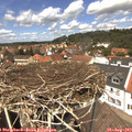 13_05-nest.jpg