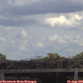 13_10-mast.jpg