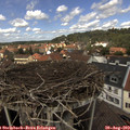13_10-nest.jpg