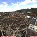 13_15-nest.jpg