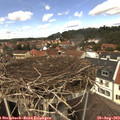 13_20-nest.jpg