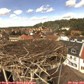 13_25-nest.jpg