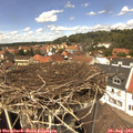13_30-nest.jpg