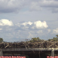 13_35-mast.jpg