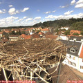 13_35-nest.jpg