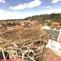 13_40-nest.jpg