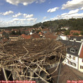 13_45-nest.jpg